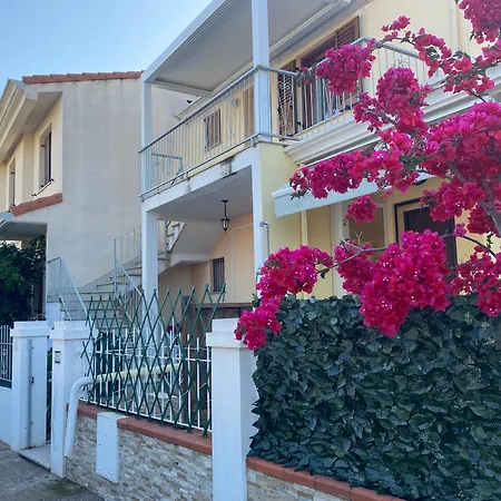 Dario's Oasis Daire Àrbatax