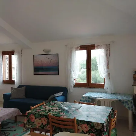 Dario's Oasis Apartment