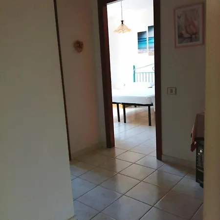 Dario's Oasis