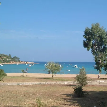 Dario's Oasis