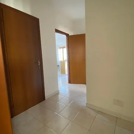Dario's Oasis * Àrbatax